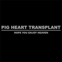 Pig Heart Transplant - Hope You Enjoy Heaven