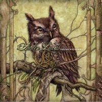 Austin Lucas - A New Home in the Old World