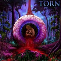 Nylist - Torn