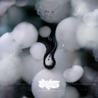 Cel Genesis - Shallow Dream