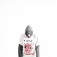Lizdek - Gemini