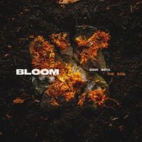 Bloom - Sink Into the Soil