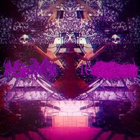 16-武装翼の女神 [16-Armed Winged Goddess] - Split w/ Insectivore