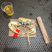 Tot&ocirc; De Babalong - Aclima&ccedil;&atilde;o