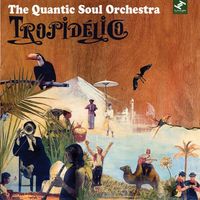 The Quantic Soul Orchestra - Tropid&eacute;lico