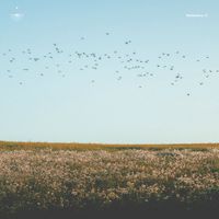 Various Artists - Reflections 01