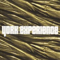 York - Experience