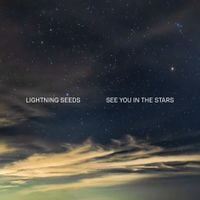 The Lightning Seeds - See You in the Stars
