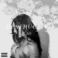Sidi - Destructive