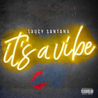 Saucy Santana - It's a Vibe