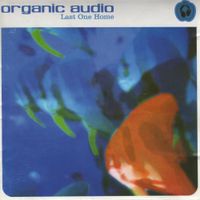 Organic Audio - Last One Home