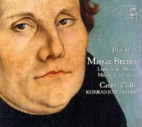 Cantus Cölln - Missae Breves