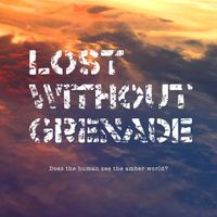 Lost Without Grenade - Does the Human See the Amber World?