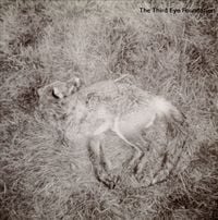 The Third Eye Foundation - Semtex