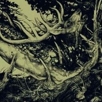 The Third Eye Foundation - The Dark
