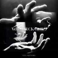 We Struck Gold - Feel Nothing