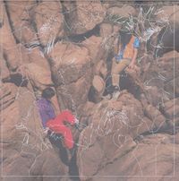 Wedance - 하고 싶은 게 많고 너도 그래 보여