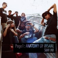 SIMI LAB - Page 1: Anatomy of Insane
