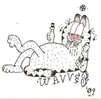 Wavves - Cool Jumper