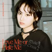 NINA - Love Me or Hate Me