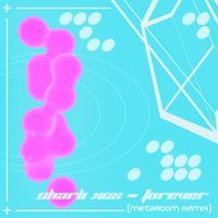 Metaroom - Forever (metaroom remix)