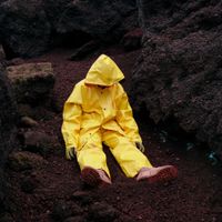 Shin Guard - Cerebral