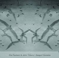 Ola Paulson & John Tilbury - Seagull Sonatas