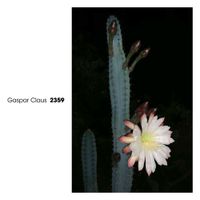 Gaspar Claus - 2359