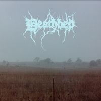 Coatie Pop - Deathbed