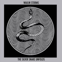Wailin' Storms - The Silver Snake Unfolds