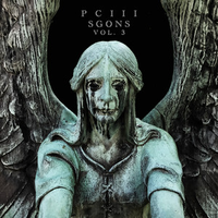 P C III - Sgons, Vol. 3