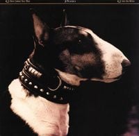 Pixies - Here Comes Your Man