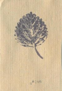 Malva - Malva