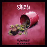 The Chainsmokers - Siren