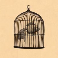 Fish in a Birdcage - Fish in a Birdcage
