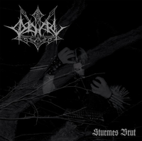 Odal - Sturms Brut