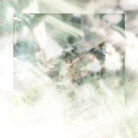 uami - emprqqm