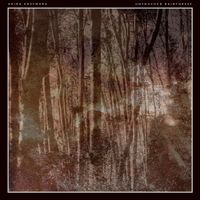 Akira Kosemura - Untouched Rainforest