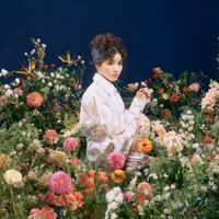 Seira Kariya - Always Fresh