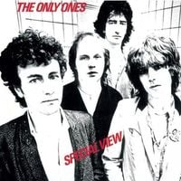 The Only Ones - Special View
