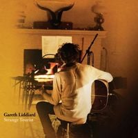 Gareth Liddiard - Strange Tourist
