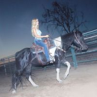 Cowgirl Clue - Trailblaze ☆