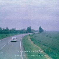 Црвених Цветова [Tsrvenih Tsvetova] - Слишком большое сердце