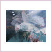 Options - Swimming Feeling
