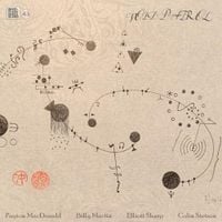 Colin Stetson, Elliott Sharp, Billy Martin And Payton MacDonald - Void Patrol