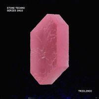 Various Artists - Stone Techno Series 2022 - Triclinic
