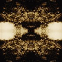 Teargas & Plateglass - Black Triage