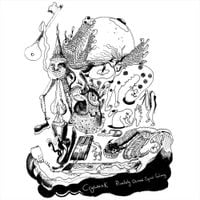 Crywank - Privately Owned Spiral Galaxy