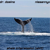 Dr. Domino - Whale Intermission