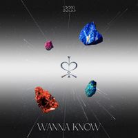 IRRIS - WANNA KNOW